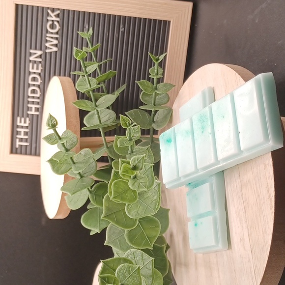 Hand Crafted Other - Spring Rain- Pack of 2 Melt Bars